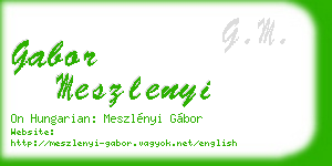 gabor meszlenyi business card
